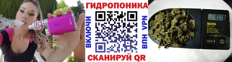 Купить закладки  Болотное  Шишки марихуана план 